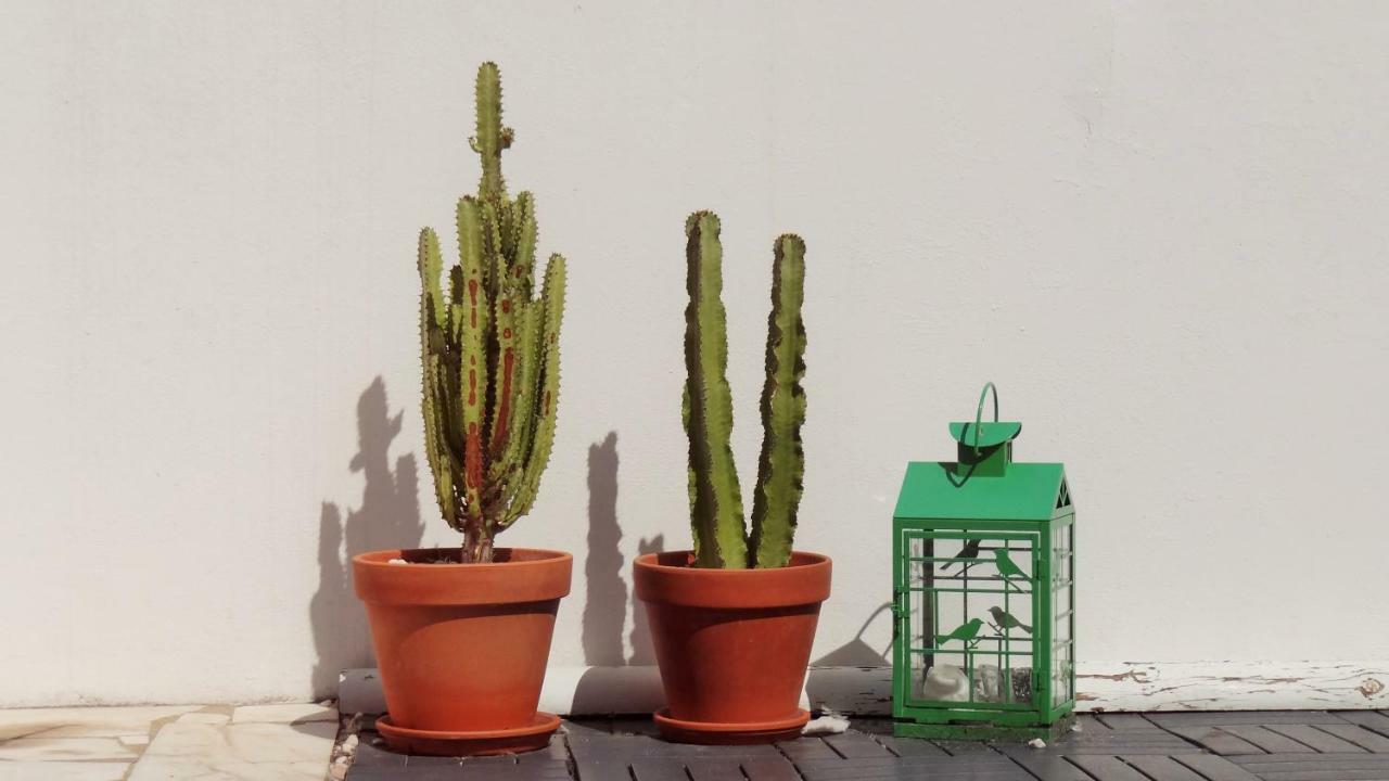 Casa Do Tanque Amarelo By Stay In Alentejo ヴィラ・ノヴァ・デ・ミルフォンテス エクステリア 写真
